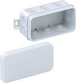 IP 55 - the classic